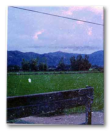 Roadside